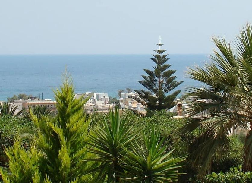 Vista externa Foto