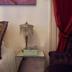 Comodidade do quarto