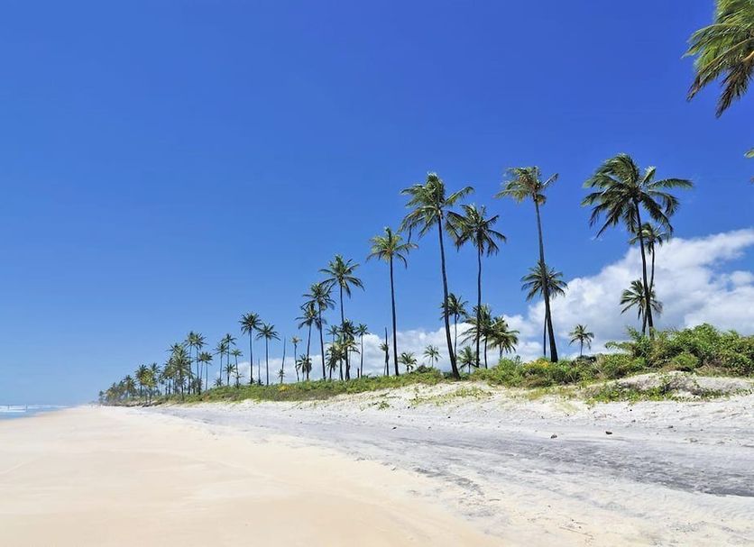 Praia Foto