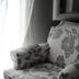 Comodidade do quarto