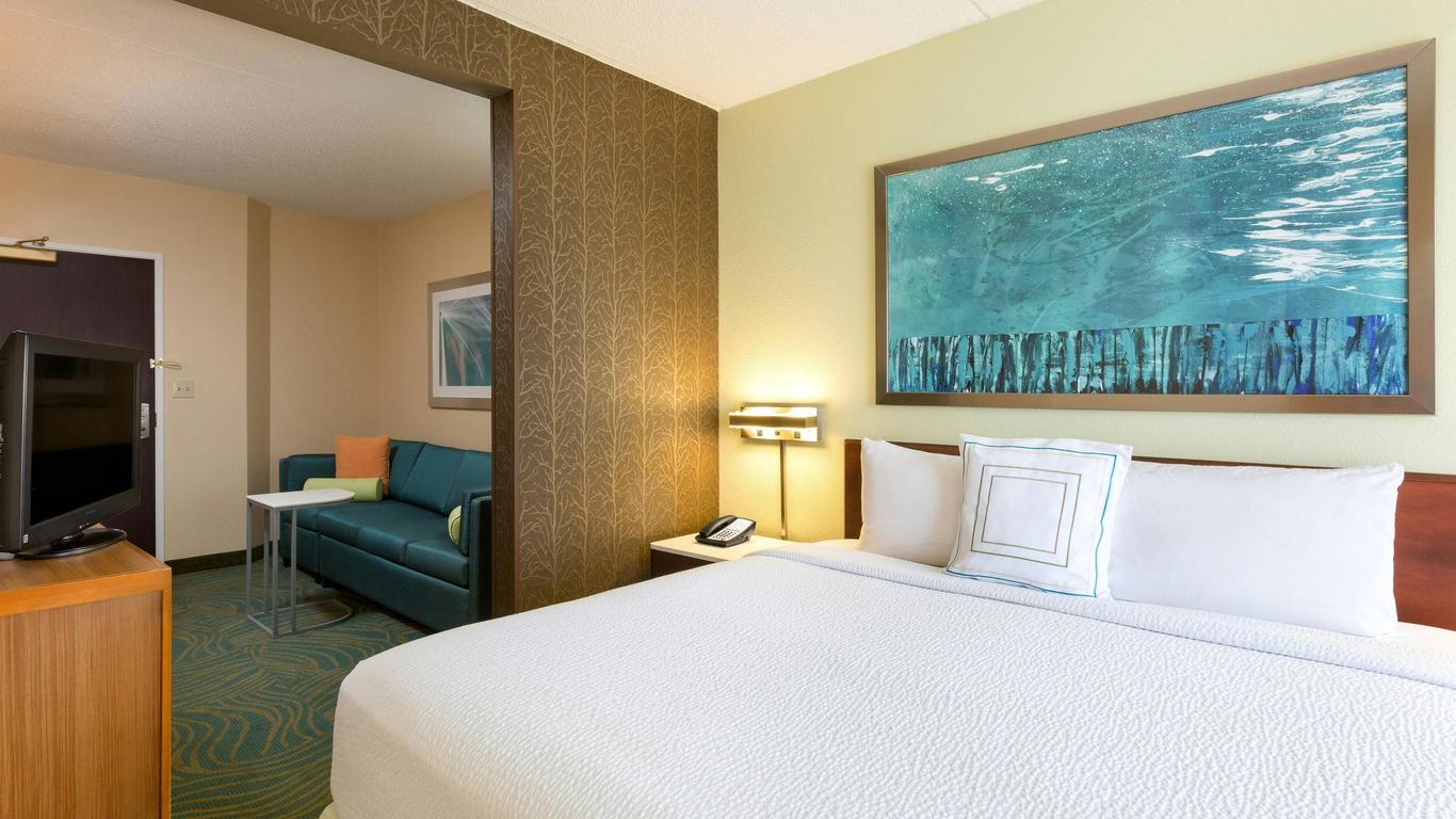 SpringHill Suites by Marriott Austin South