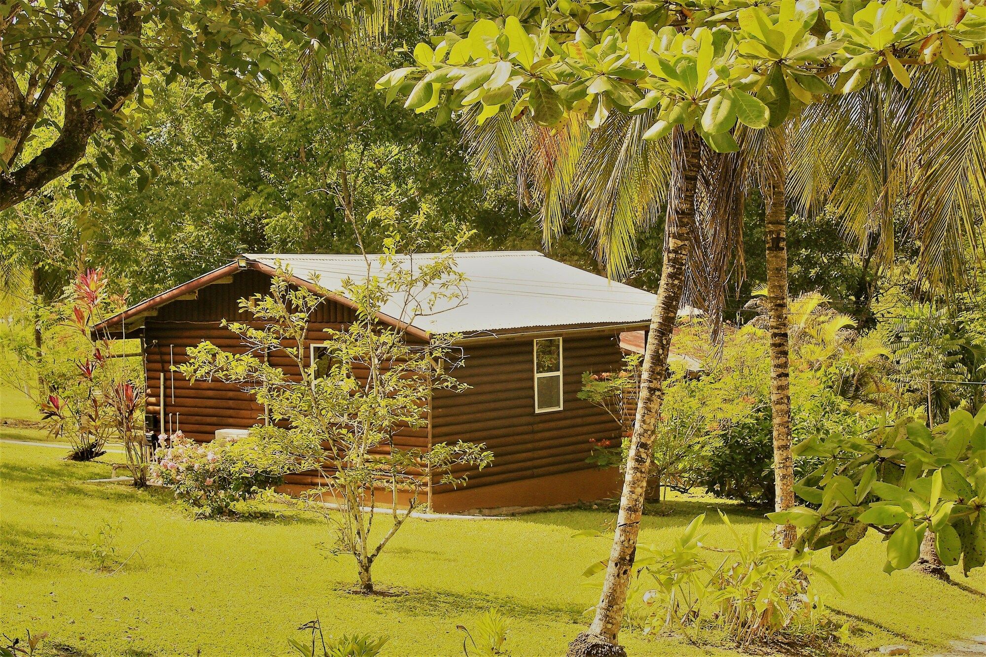 Vista externa