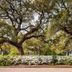Vista externa