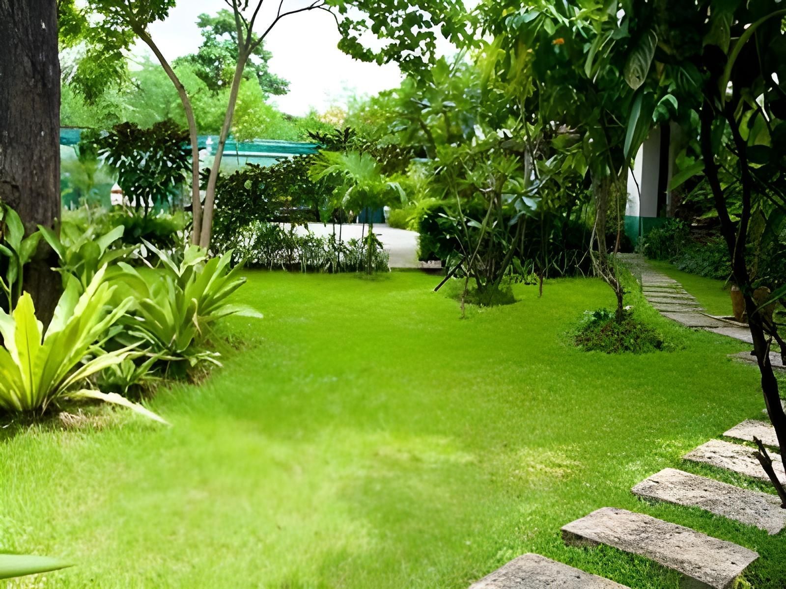 Vista externa