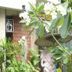 Vista externa