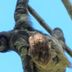 Outros