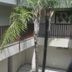 Vista externa