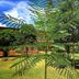 Vista externa