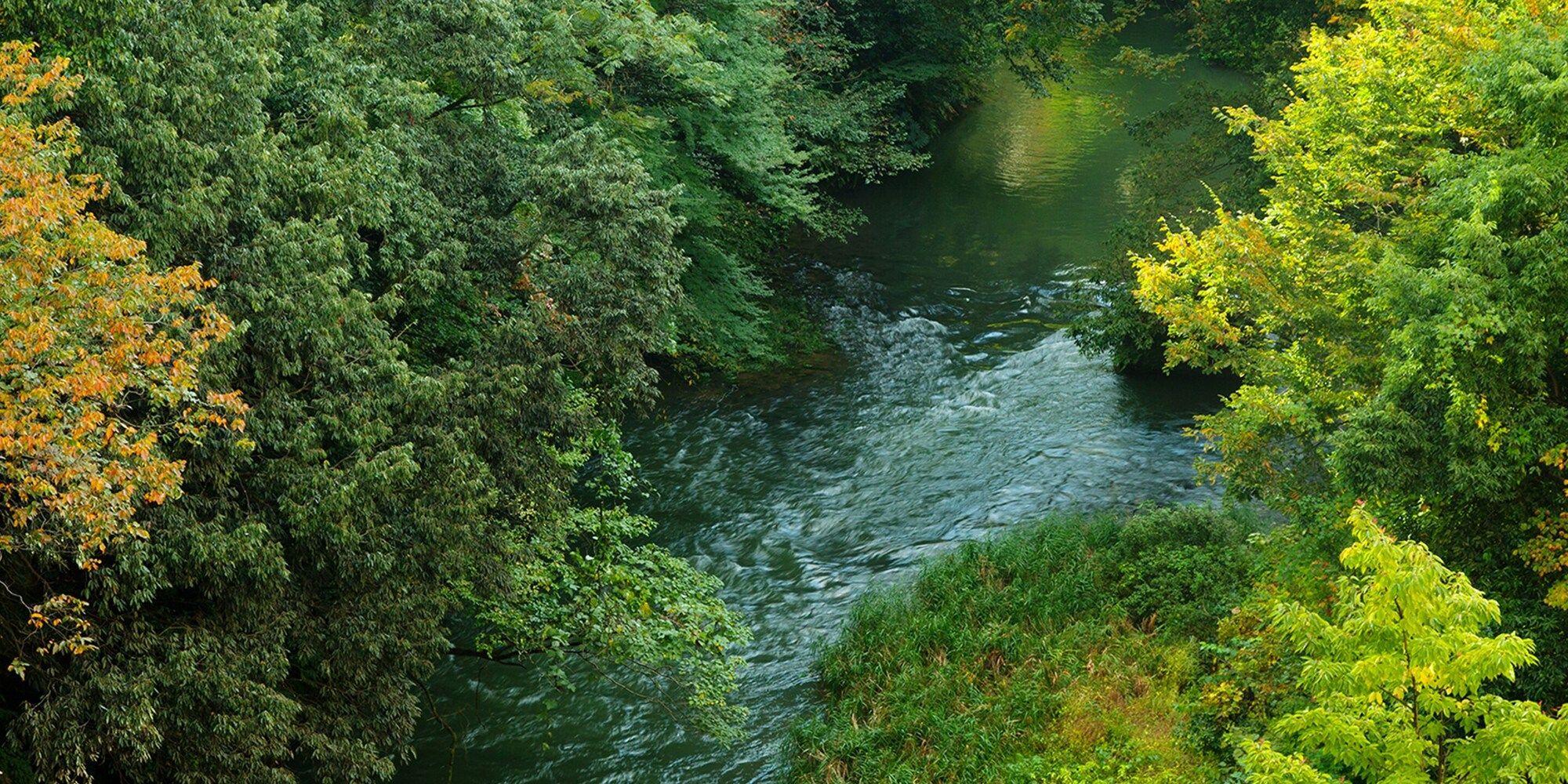Vista externa