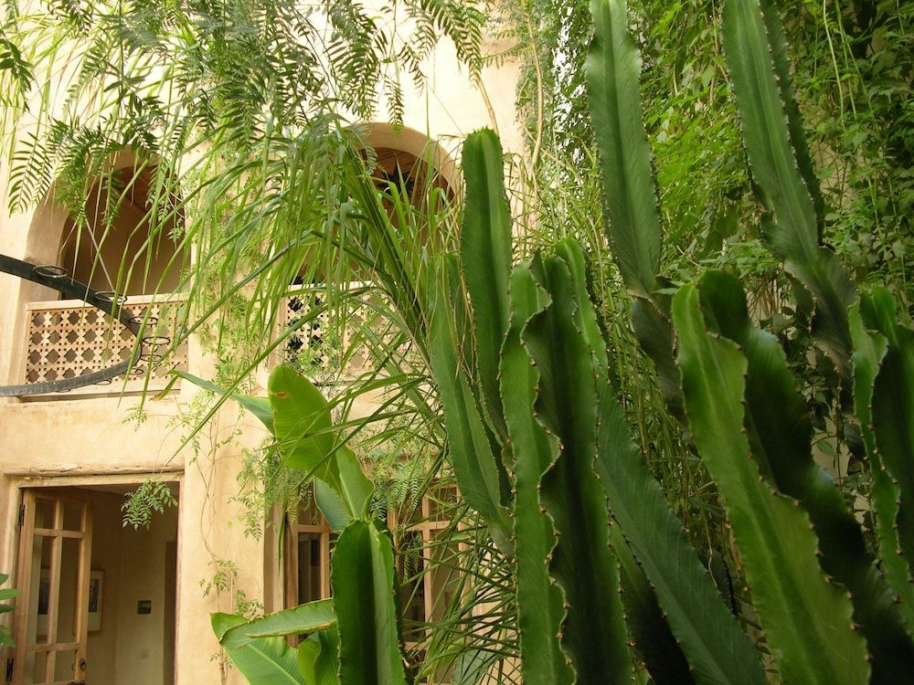 Vista externa