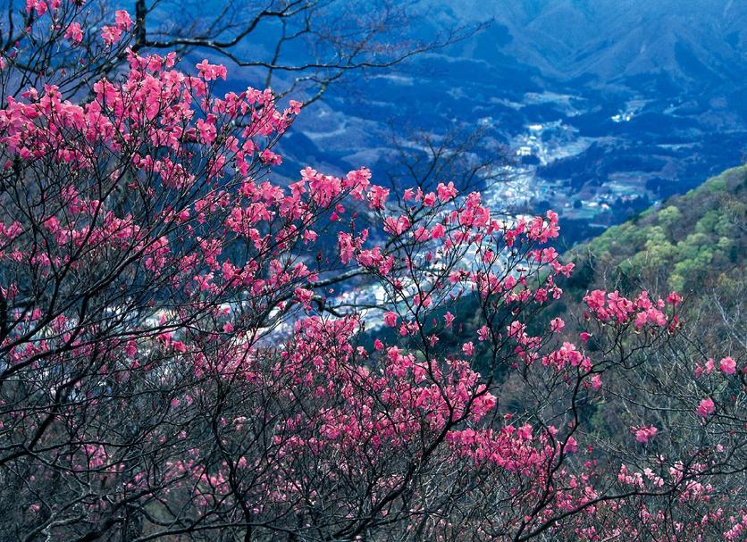 Vista externa Foto