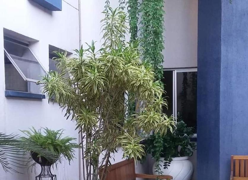 Vista externa Foto