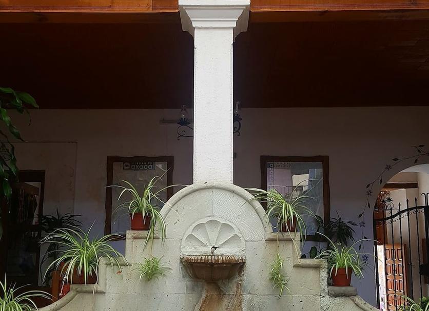 Outros Foto