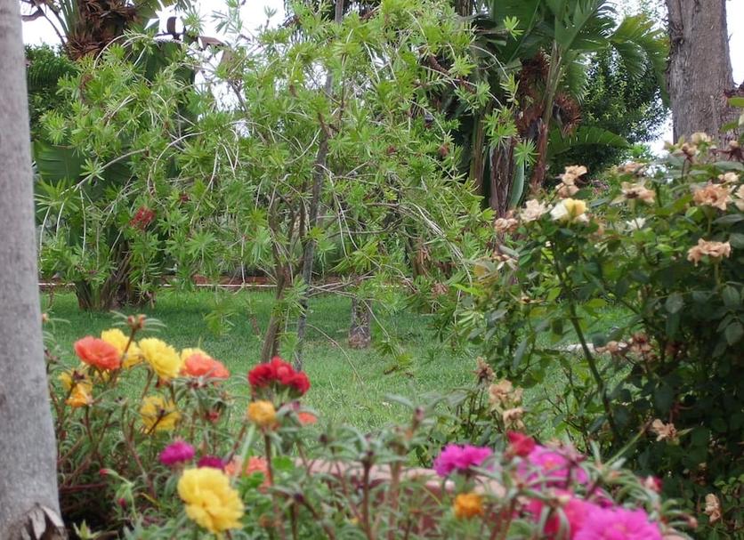 Vista externa Foto