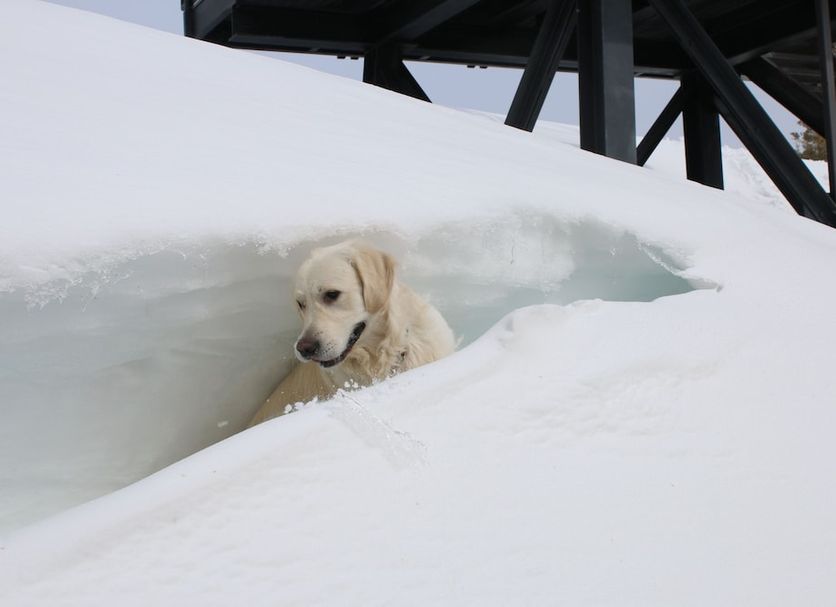 Comodidade do hotel Foto