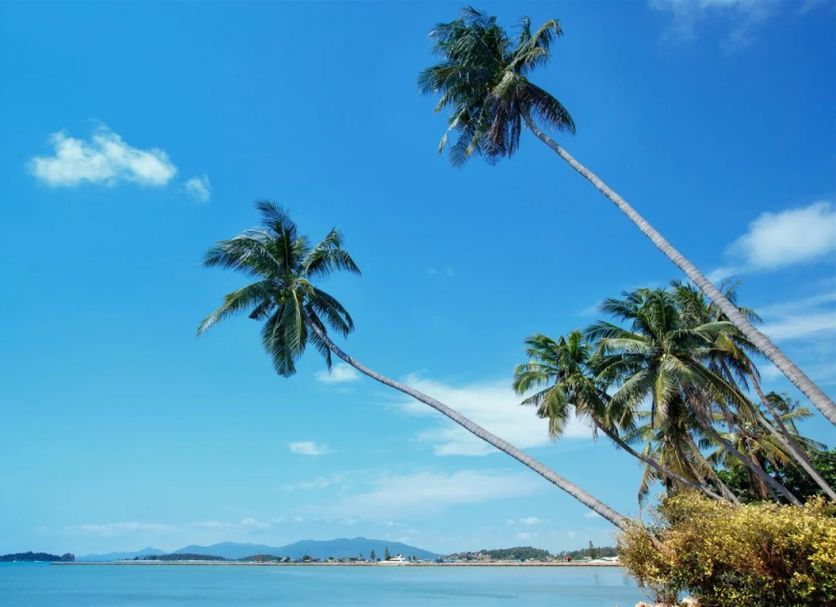 Praia Foto