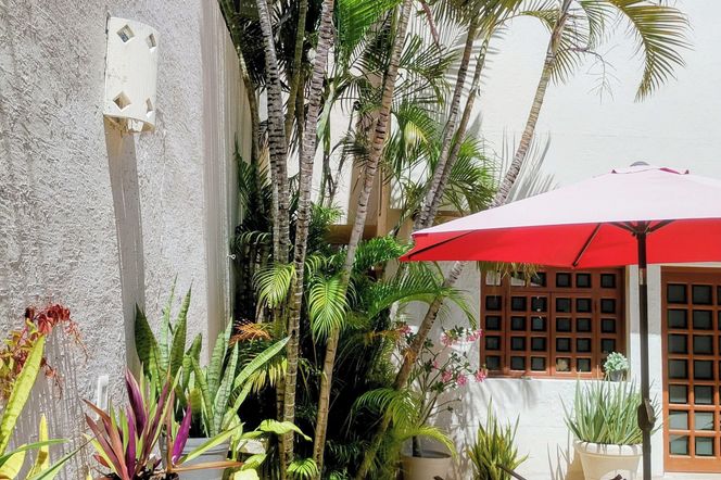 Bed and Breakfast Pecarí