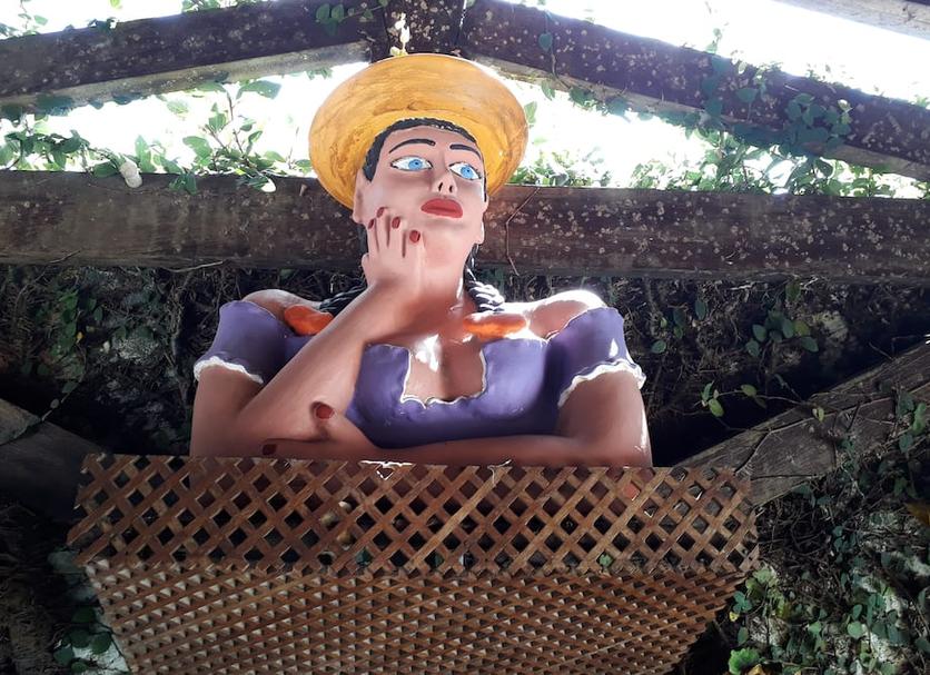 Outros Foto