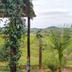 Vista externa