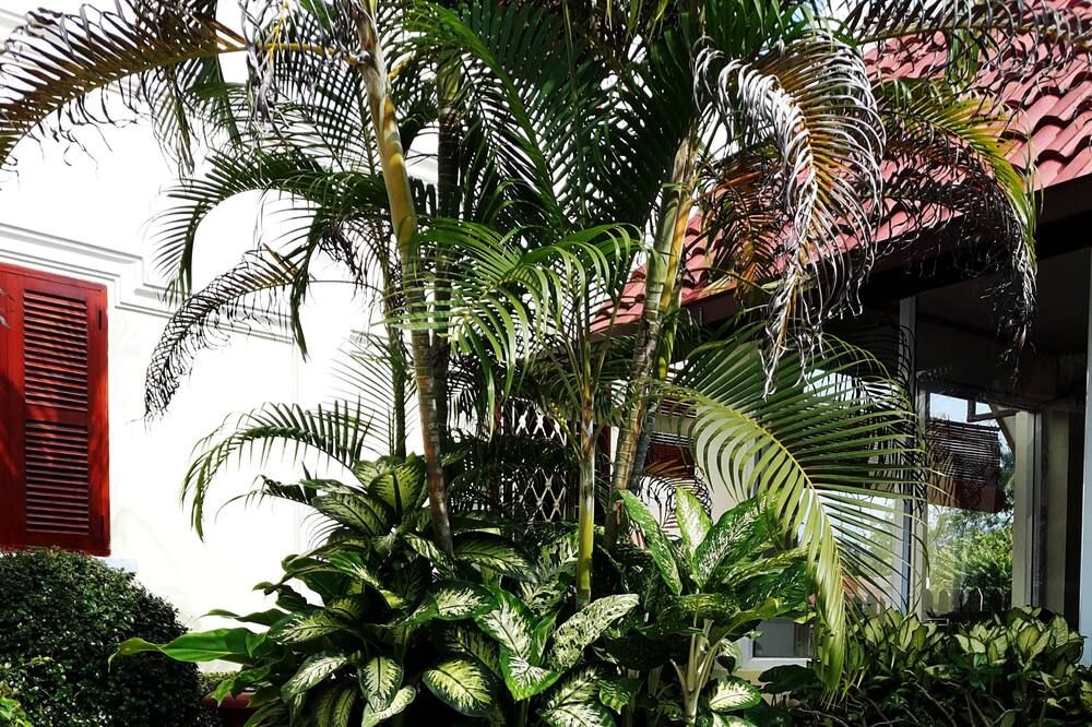 Vista externa