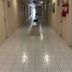 Corredor