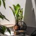 Pátio