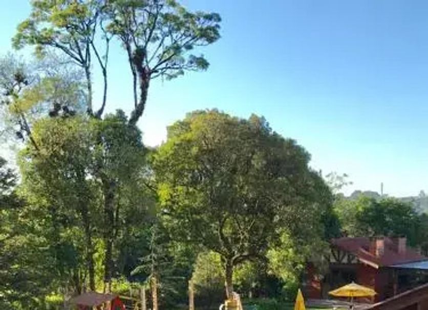 Outros Foto