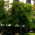 Vista externa