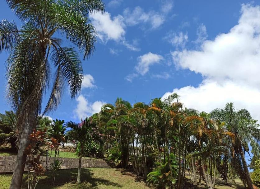 Vista externa Foto