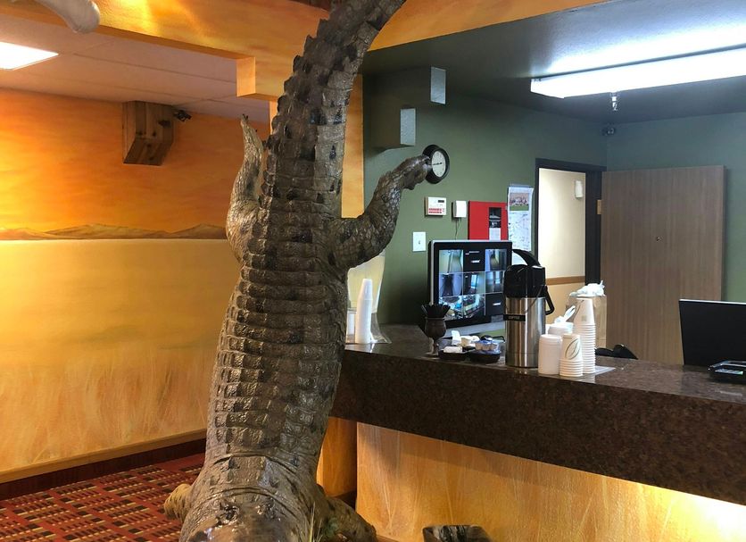 Lobby Foto