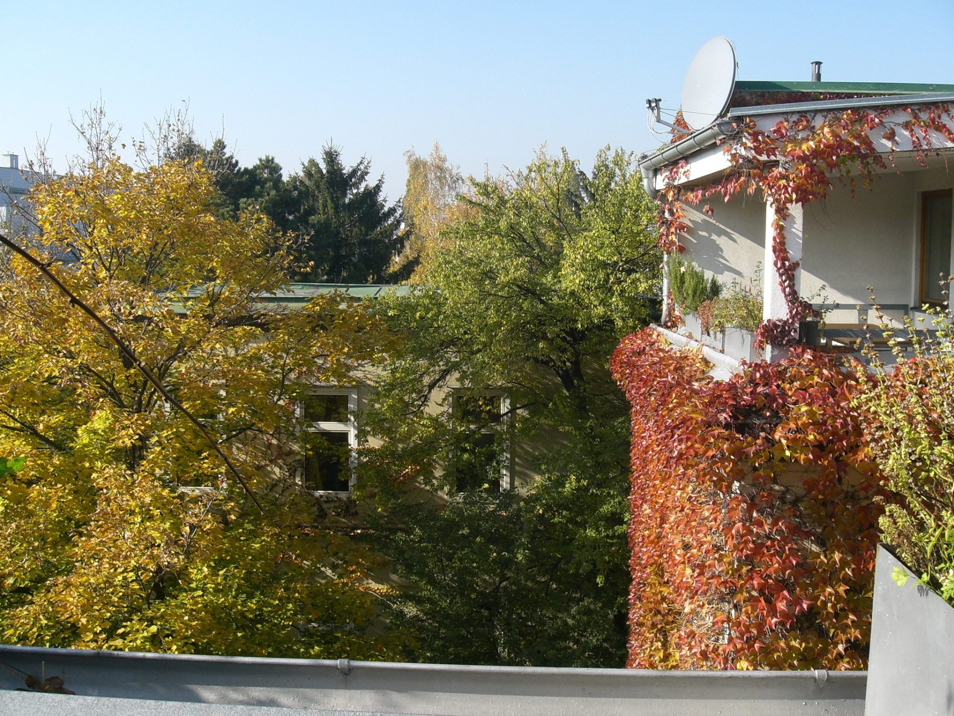 Vista externa