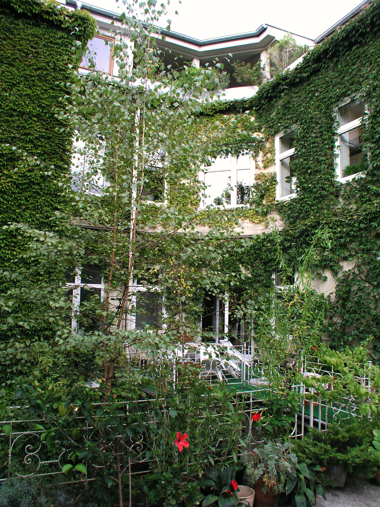 Vista externa