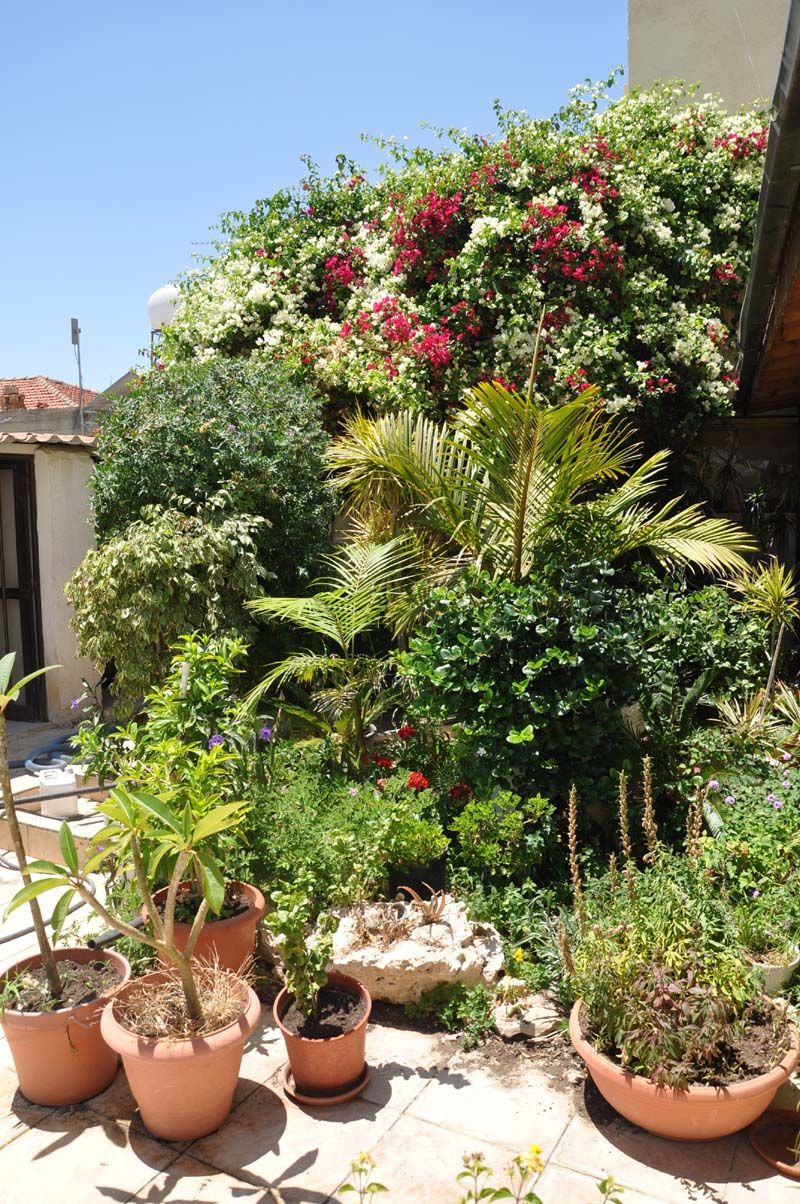 Vista externa