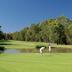 Golfe